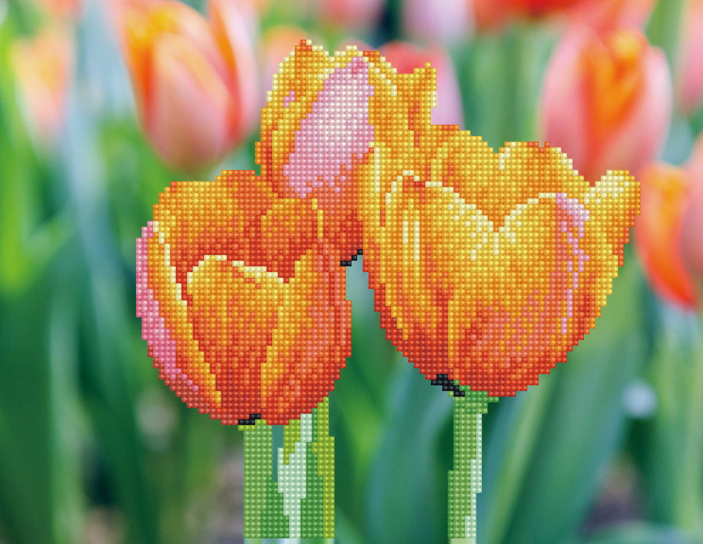 DIAMOND DOTZ ADULTS LOVE TULIPS